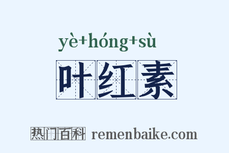 叶红素是什么意思的图片